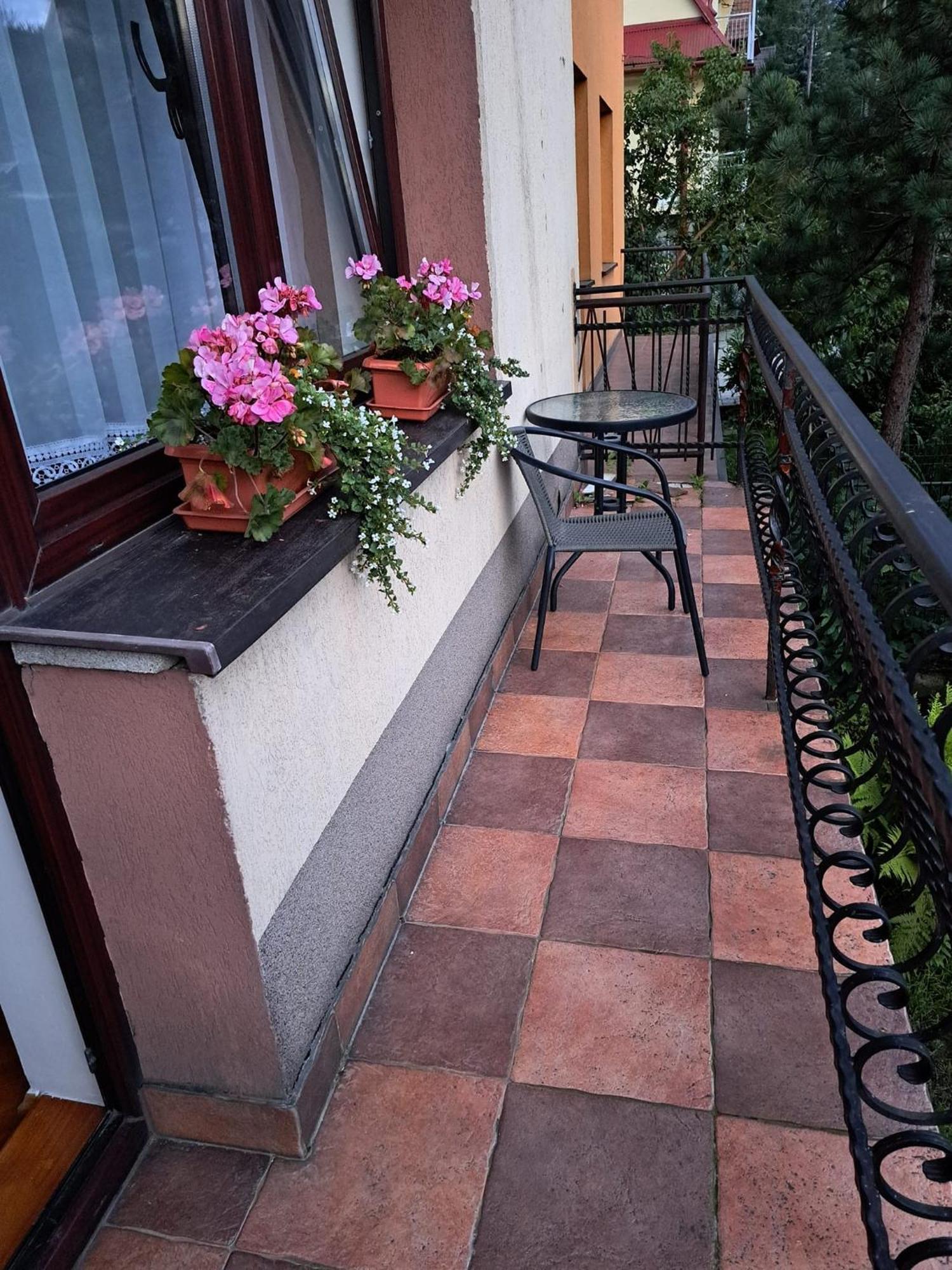 זקופאנה Apartamenty Kluska מראה חיצוני תמונה